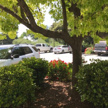Taco Bell - Tree outside - Fast Food Near Me - King City, California Taco Bell - Tree outside - Fast Food Near Me - King City, California
