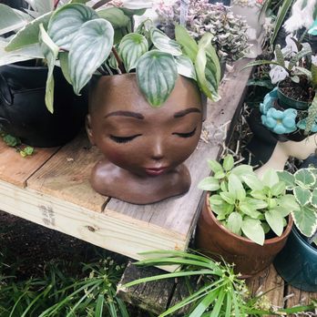 Myers Plants & Pottery - Nurseries & Gardening Near Me - Pelham, Alabama Myers Plants & Pottery - Nurseries & Gardening Near Me - Pelham, Alabama