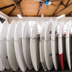 The Surf Life
