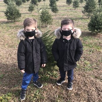 Santas Christmas Tree Farm - Christmas Trees and masks required Covid safe ! - Christmas Trees Near Me - Cutchogue, New York