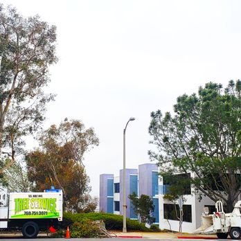 SS Hernandez - Contracts Available - Tree Services Near Me SS Hernandez - Contracts Available - Tree Services Near Me