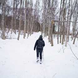 Gull Rock Trail - Beginning of trail in March