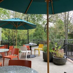 Dos Coyotes Border Cafe - Back patio view of bike trail