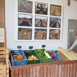 Meyerhof - Saisonales Gemüse