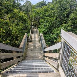 Castle Rock State Park - Staircase to the overlook.