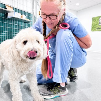 Smart Parke - Vaccine Clinic - Pet Boarding Near Me - Corona, California Smart Parke - Vaccine Clinic - Pet Boarding Near Me - Corona, California