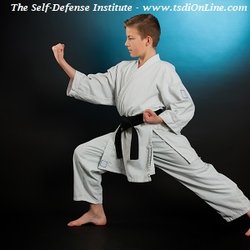 The Self Defense Institute - The Self-Defense Institute, www.tsdiOnLine.com