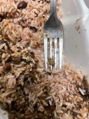 Caribbean Hotpot Grill by null