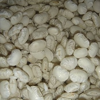 Rancho Gordo - Runner Cannelini Beans - soaking - Specialty Food Near Me - Napa, California Rancho Gordo - Runner Cannelini Beans - soaking - Specialty Food Near Me - Napa, California
