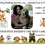 Photo of Dog Walking Service Etc
