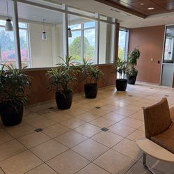 Sentara Foot & Ankle Specialists