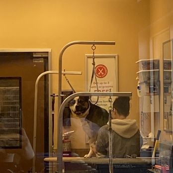 PetSmart - Pet Training Near Me - Dallas, Texas PetSmart - Pet Training Near Me - Dallas, Texas