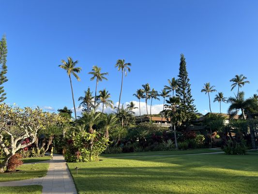 The Mauian Hotel by null