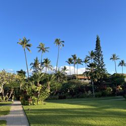 The Mauian - The grounds