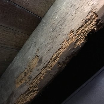 Foundation First Home Inspections - Home Inspectors Near Me Foundation First Home Inspections - Home Inspectors Near Me