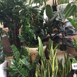 Garden Grove Florist