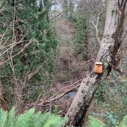 Renfrew Ravine Park