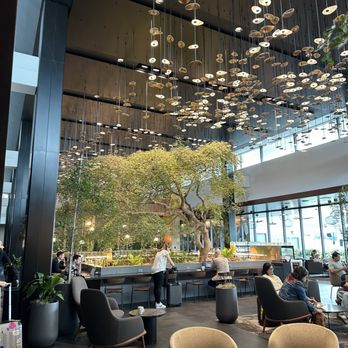 Amex Centurion Lounge - Lounges Near Me - Atlanta, Georgia