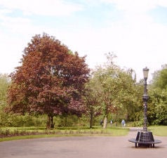 Victoria Park by null