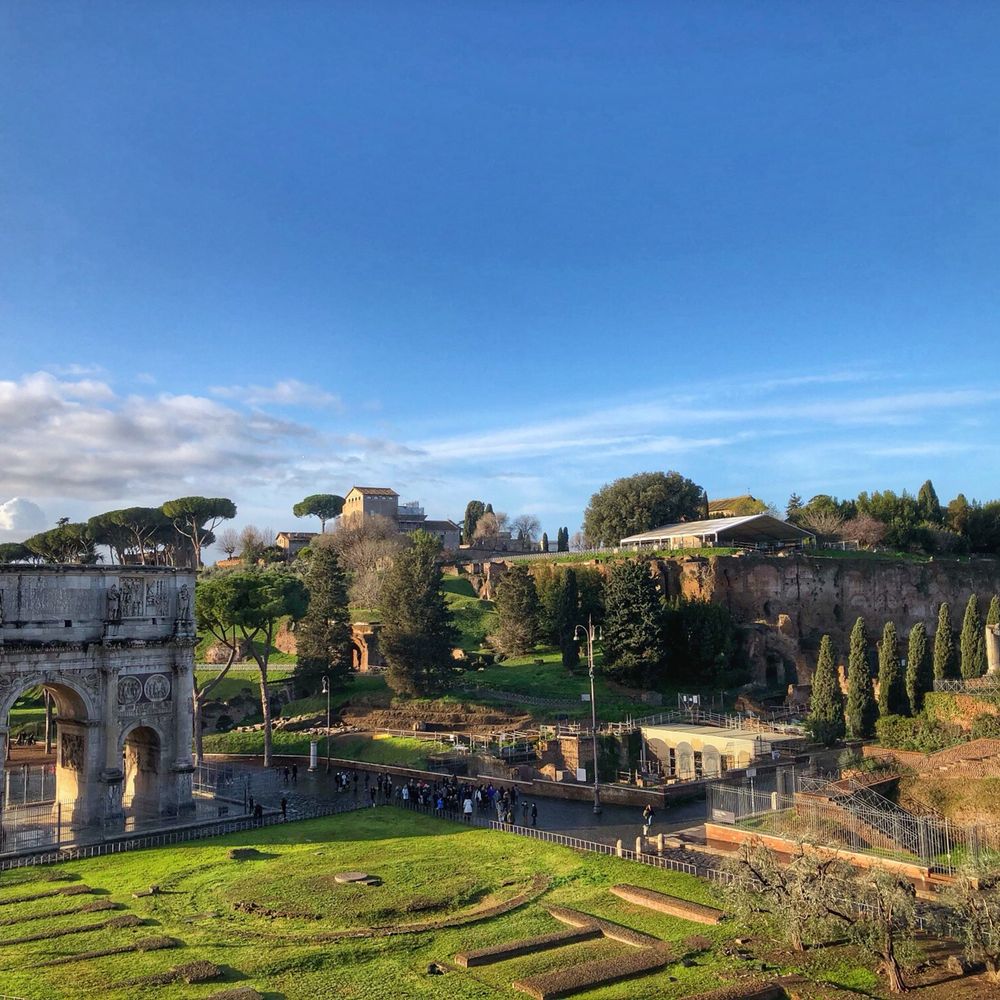Colosseo - Local Flavor Near Me - Rome, RM