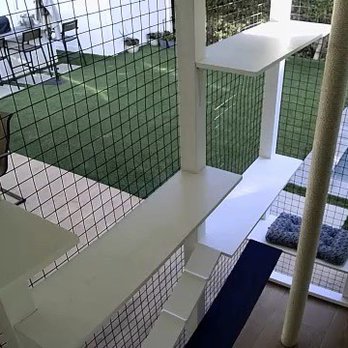 Catio Guy - All the shelves, vertical space and huge sisal climbing pole - Pet Services Near Me Catio Guy - All the shelves, vertical space and huge sisal climbing pole - Pet Services Near Me