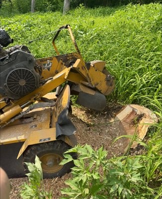 Schwake Stump & Storm Removal on Yelp