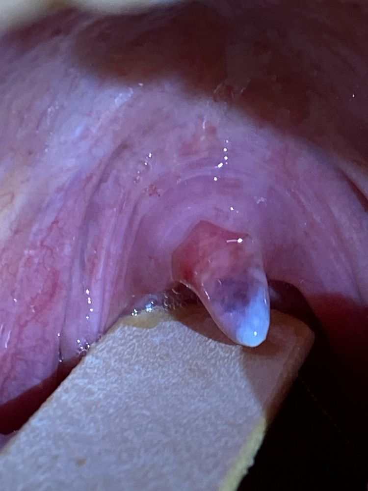 Henry Ford Wyandotte Hospital - patient advocate in Wyandotte, MI