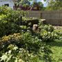 Photo of Cousins Tree Service