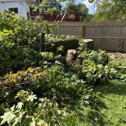 Cousins Tree Service - What's left of tree