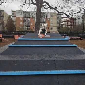 Hops & Hounds - Jethro - Dog Parks Near Me - San Antonio, Texas