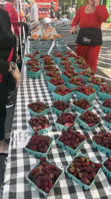 Salem Saturday Market by null