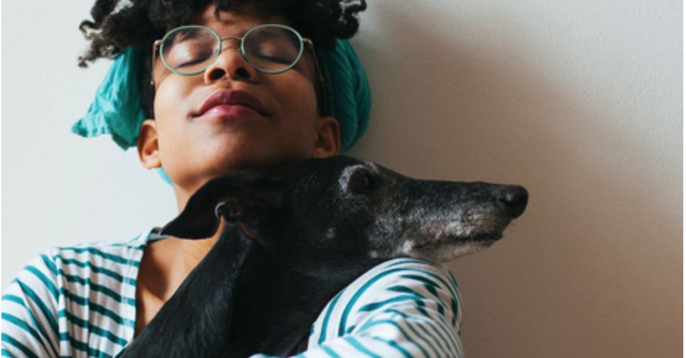 HERE TO ETERNITY VETERINARY SERVICES Updated August 2024 11 Reviews