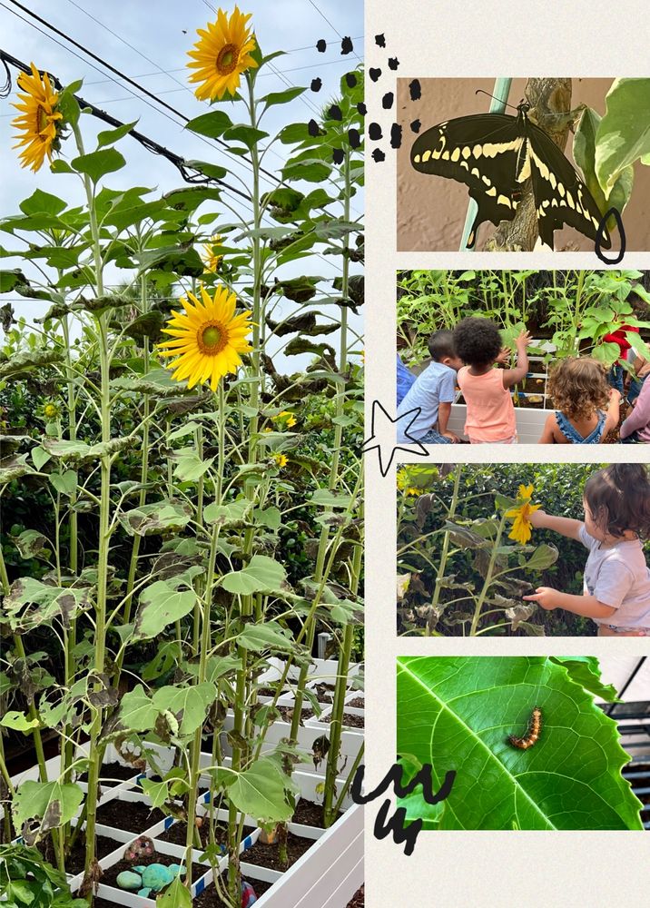 Play Learn Grow Daycare - childcare center in San Diego, CA