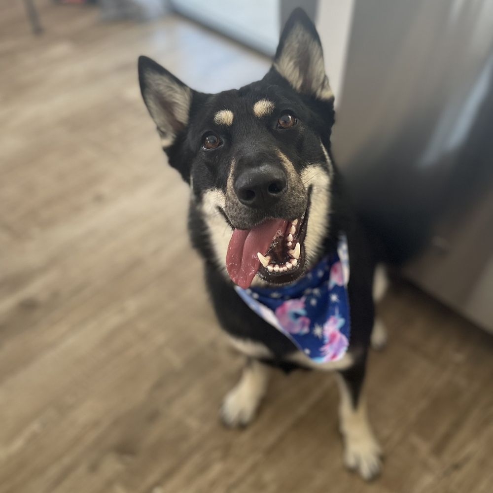 Lily girl