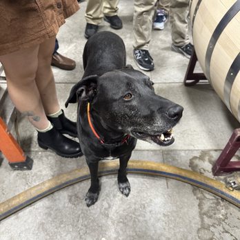 Branch & Barrel Distilling - Distilleries Near Me - Centennial, Colorado