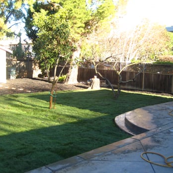 Nunes Landscape Management - a backyard with a fire hydrant - Landscaping Near Me - Newark, California Nunes Landscape Management - a backyard with a fire hydrant - Landscaping Near Me - Newark, California