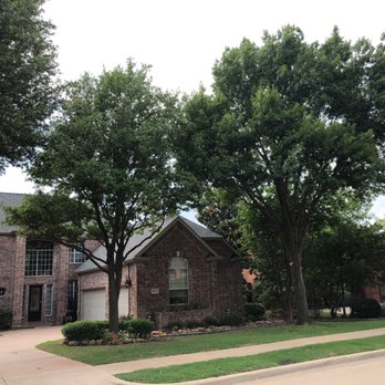 Arborworks DFW - Tree Services Near Me - Rowlett, Texas