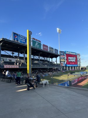 Round Rock Express by null