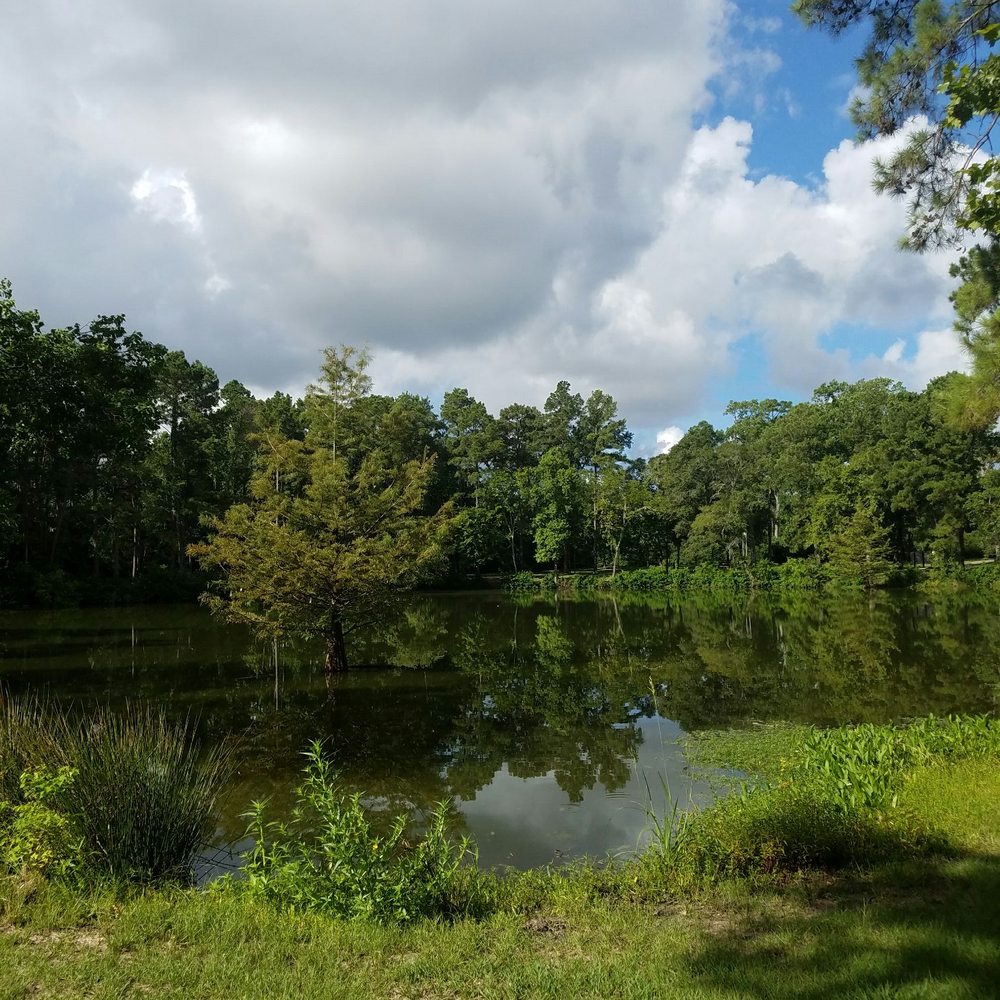 Meyer Park - Big pond - Parks Near Me - Spring, Texas