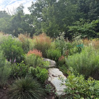 EcoLandscapes Design - Lawn removal meadow - Landscaping Near Me - Conshohocken, Pennsylvania