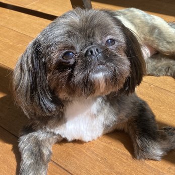 Dog Wash Pros - Kona - Pet Groomers Near Me