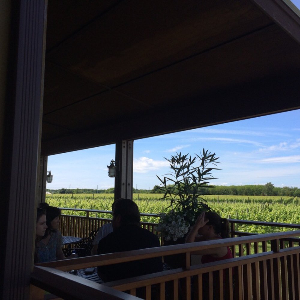 Palmer Vineyards - Scenes from the patio. - Wineries Near Me - Aquebogue, New York Palmer Vineyards - Scenes from the patio. - Wineries Near Me - Aquebogue, New York