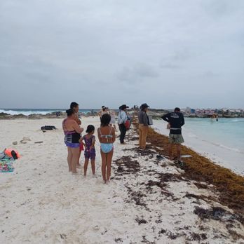 Krystal Cancún - Major sargassum - Resorts Near Me - Cancún, ROO Krystal Cancún - Major sargassum - Resorts Near Me - Cancún, ROO