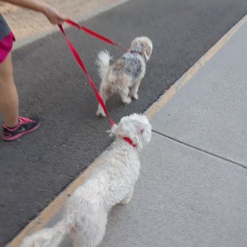 Red Hill Community Park - One long leash for 2 hahaha - Parks Near Me - Rancho Cucamonga, California Red Hill Community Park - One long leash for 2 hahaha - Parks Near Me - Rancho Cucamonga, California