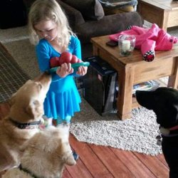 All About the Paws - Play time!