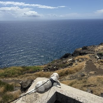 Makapu'u Point Lighthouse Trail - Hiking Near Me - Honolulu, Hawaii Makapu'u Point Lighthouse Trail - Hiking Near Me - Honolulu, Hawaii