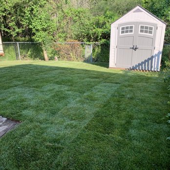 Silver Scape Solutions - Lawn Services Near Me