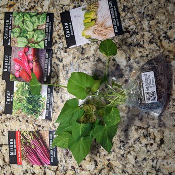 Baker Creek Heirloom Seeds - Fruits & Veggies Near Me - Mansfield, Missouri Baker Creek Heirloom Seeds - Fruits & Veggies Near Me - Mansfield, Missouri