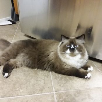 Groomer 2 U - Pet Groomers Near Me Groomer 2 U - Pet Groomers Near Me