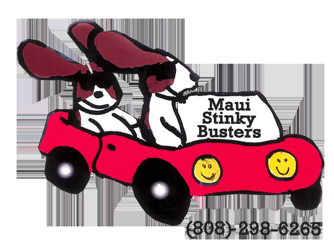 MAUI STINKY BUSTERS Updated June 2024 Wailuku, Hawaii Carpet